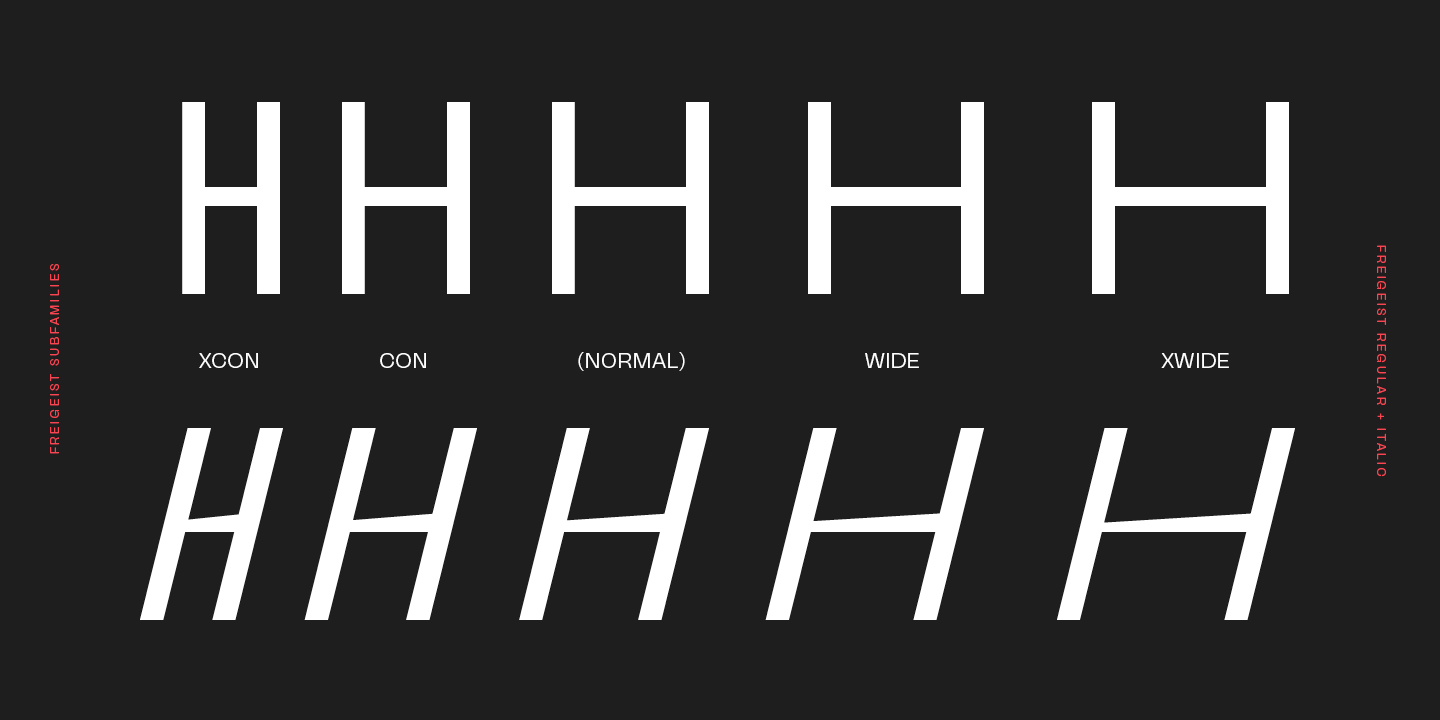 Пример шрифта Freigeist XWide Black Italic
